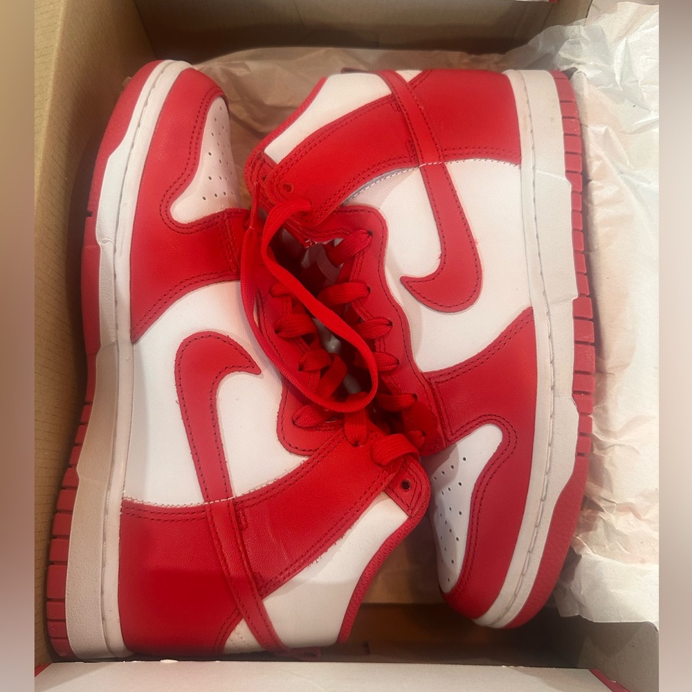 Nike Dunk High Retro NWT
